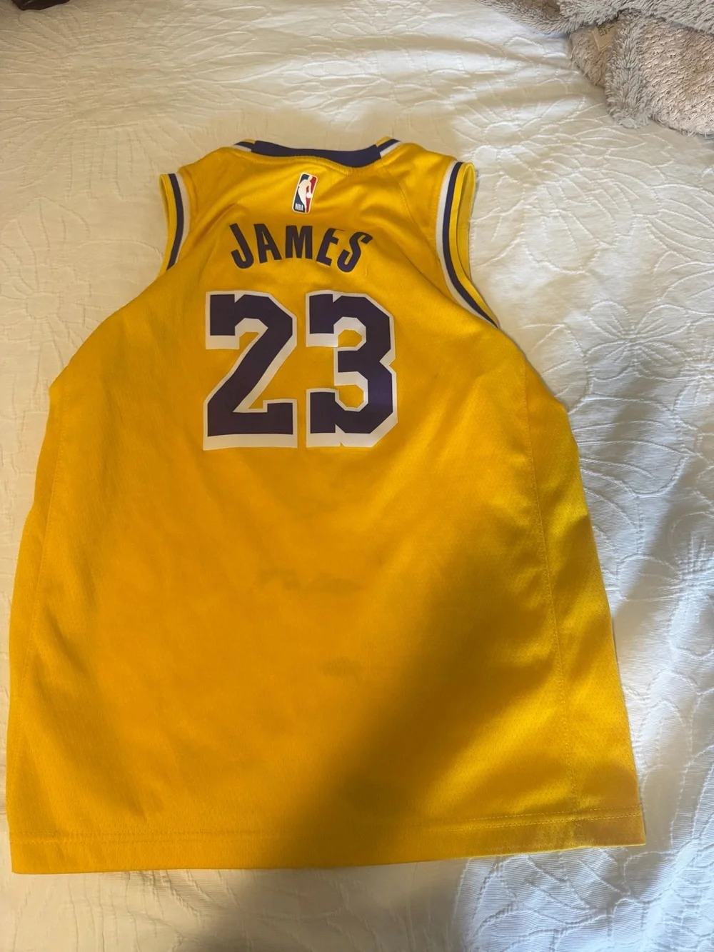 Nike Lakers Lebron Jersey